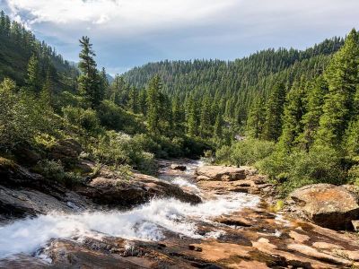 Леса на Байкале. Фото: 1baikal.ru